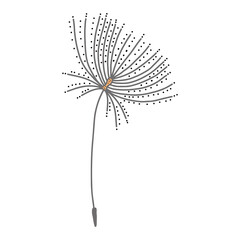 Hand-drawn dandelion. Design elements for Valentines Day. Vector illustration