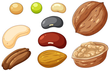 Group of different nuts isolated