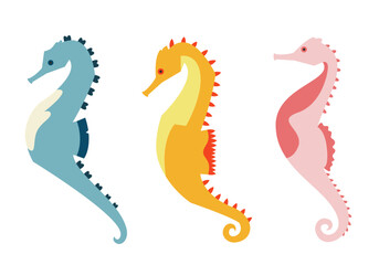 Obraz premium Set of seahorses in flat style. Beautiful underwater inhabitants.
