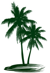 coconut trees white background