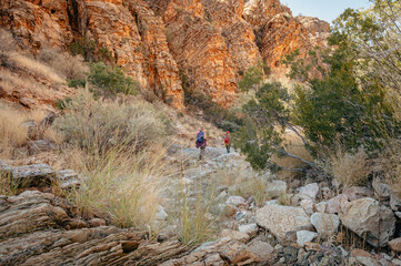 Obraz premium Familie wandert durch eine felsige Schlucht über den Olive Trail, einen Pfad im Naukluft Gebirge, Namibia