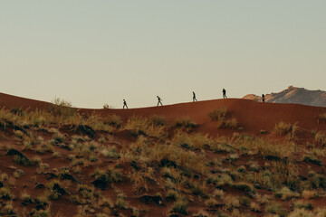 Touristen wandern über einen Grat der Elim Düne im Abendlicht, Sesriem, Namibia
