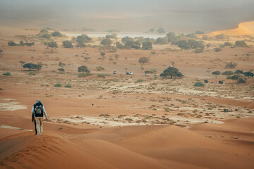 Fototapeta na wymiar Touristin wandert über einen absteigenden Grat der Düne Big Daddy hinab Richtung Parkplatz am Deadvlei, Sossusvlei, Namibia