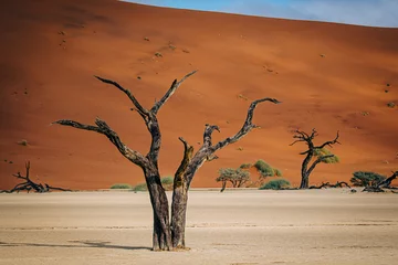 Türaufkleber Tote Bäume im Deadvlei (Sossusvlei, Namibia) © Michael