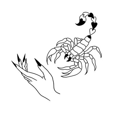 scorpion and hand vector illustration