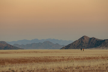 Fototapeta na wymiar Ein Ehepaar läuft über die Ebene bei Sesriem und schaut in das vom Abendrot beleuchtete Naukluft Gebirge (Namibia)