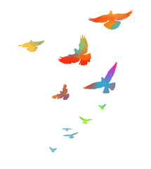 Abstract colored flying birds. Mixed media. Vector illustration