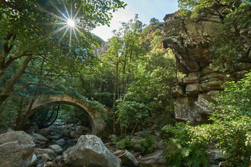 Bridge at Spelunca Gorge is a popular destination for hiking