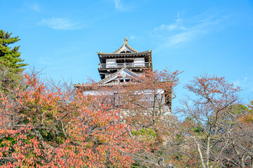秋の丸岡城　福井県坂井市　Maruoka Castle in autumn. Fukui Prefecture, Sakai City.