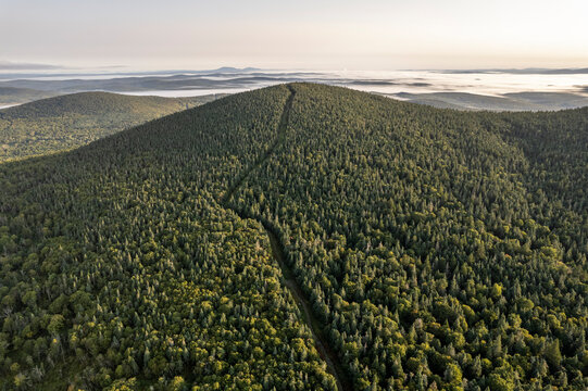 USA Canada border crosses a wooded mountain near Woburn, Quebec
