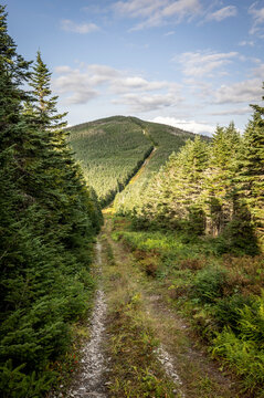 Border path climbs Boundary Mountain along USA Canada frontier