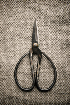 Bonsai gardening shears on a cloth.