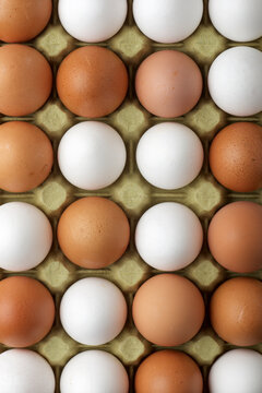 Close-up of eggs on a paperboard.