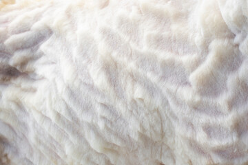 Sheepskin after the shearing process. Farm animal skin texture
