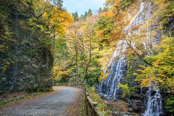秋の龍双ヶ滝　福井県今立郡　Ryusogataki waterfall in autumn. Fukui Prefecture, Imadate-gun.