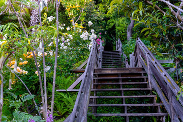 Beautiful garden in broad daylight. San Francisco, California. USA.