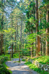 秋の平泉寺白山神社　福井県勝山市　Heisenji Hakusan Shrine in autumn. Fukui Prefecture, Katsuyama City.