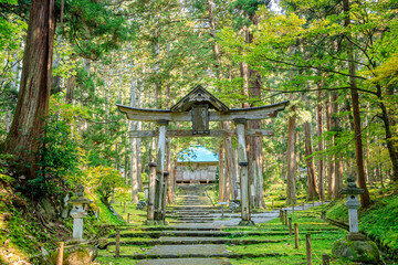 秋の平泉寺白山神社　福井県勝山市　Heisenji Hakusan Shrine in autumn. Fukui Prefecture, Katsuyama City.