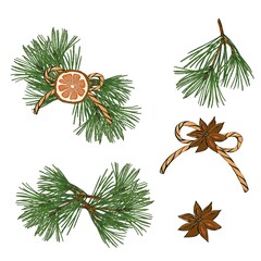 Christmas coniferous branches, vintage set greenery decorations. Isolated on white background. Hand painted illustration