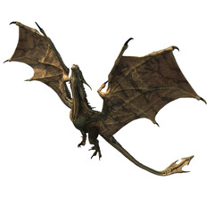 Dragon flaying