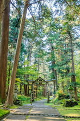 秋の平泉寺白山神社　福井県勝山市　Heisenji Hakusan Shrine in autumn. Fukui Prefecture, Katsuyama City.