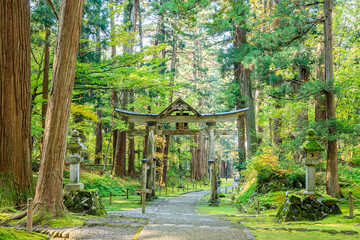 秋の平泉寺白山神社　福井県勝山市　Heisenji Hakusan Shrine in autumn. Fukui Prefecture, Katsuyama City.