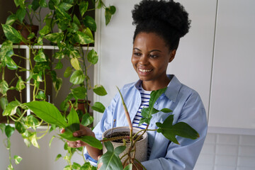 Happy smiling young African woman holding potted Philodendron plant touching green leaves, keeping...