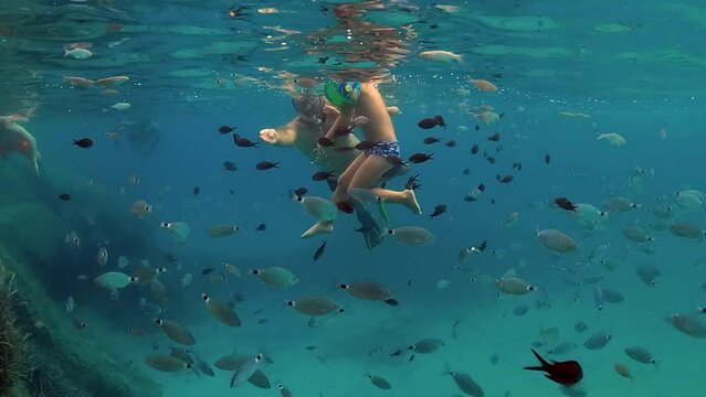 Undersea scene of toddler child boy and father swimming with inflatable armbands surrounded by fish in deep blue water. Slow motion
