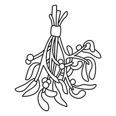 Hand drawn branch of Christmas mistletoe line art vector illustration. Black and white minimalist botanical graphic
