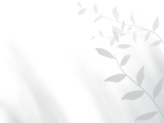 葉の影が壁に映るシンプルなモノクロの背景