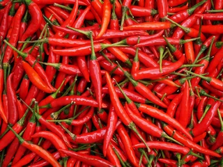 Fond de hotte en verre imprimé Piments forts cooking pepper For a good flavor condiment, bright red, vegetarian.