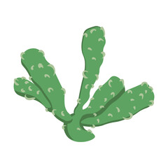 The cactus is a delicate green flat shape with thorns. Design element, vector isolated on white background.