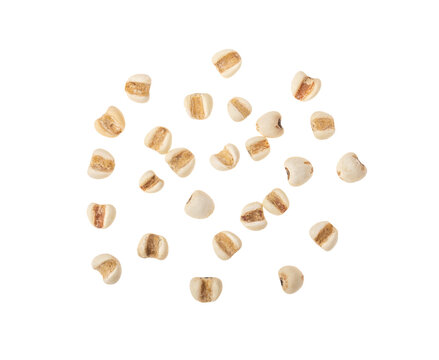 Job's tears isolated on transparent png