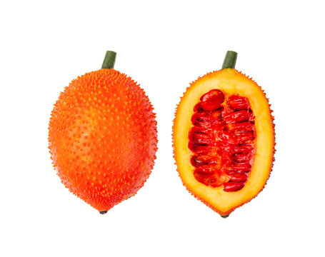 Gac fruits, Baby Jackfruit, Spiny Bitter Gourd, Sweet Grourd or Cochinchin Gourd isolated on transparent png