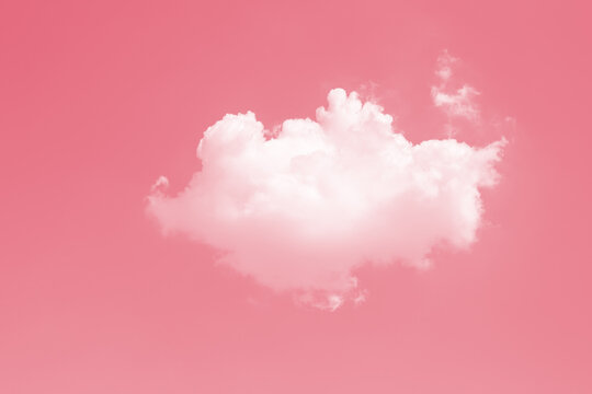cute lovely single one small puffy white cloud against sky pink color tone for love day