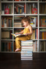 Girl child toddler sits on stack of books and reads books. Large home library. living room with...