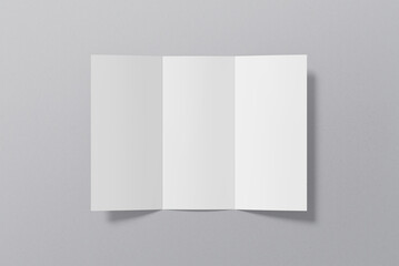 Trifold Brochure Blank Mockup