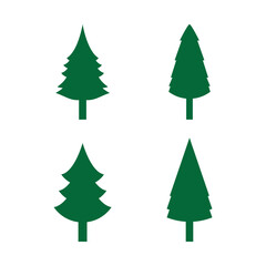 Pine tree illustration