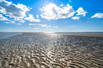 Photo sur Plexiglas Mer du Nord, Pays-Bas Paysage de la mer du Nord