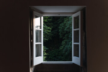 open window in a small house with the forest in the background