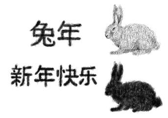 Chinese calendar for the year of rabbit 2023. Rightside translation is rabbit.