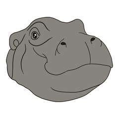 Wild Hippo Face