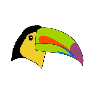recommend clip art: Toucan Bird Face