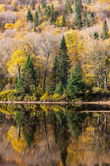 Obraz premium Fall colors reflections at Jacques Cartier National Park. Quebec. Canada.