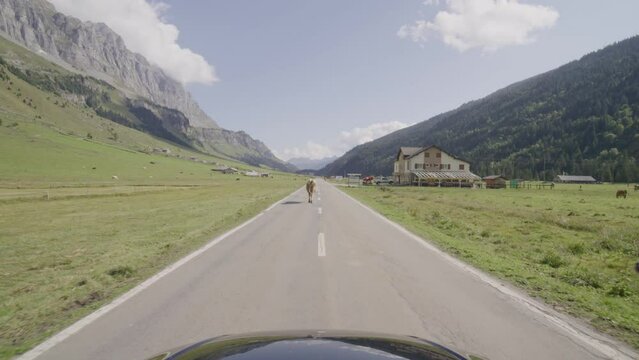 Driving video of the Sustenpass in Switzerland. The Susten pass is a famous alp road and has a scenic mountain panorama. View from the car. Experience calming nature and exciting pass roads.