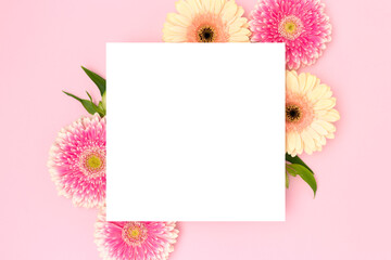 Clean square paper mockup. Frame made of green leaves and gerbera flowers on a pink background.