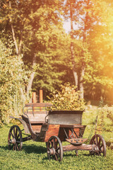 Fototapeta na wymiar Decorative Yard Wagon On Summer Lawn. Bright Sunny Day. Gardening And Housekeeping. Vintage Cart On Summer Sunny Day. Garden Decoration Concept. Garden Wagon. Trolley. Old Wooden Cart.