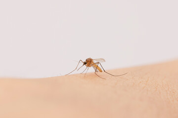 Mosquito bite uncovered human skin