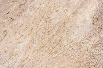 mud ground texture for background, wallpaper