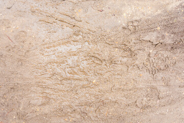 mud ground texture for background, wallpaper